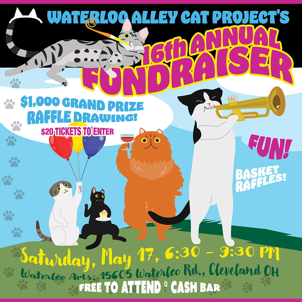 Waterloo Cats Fundraiser 2025
