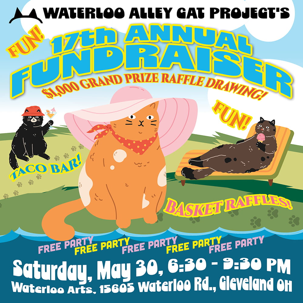 Waterloo Cats Fundraiser 2026